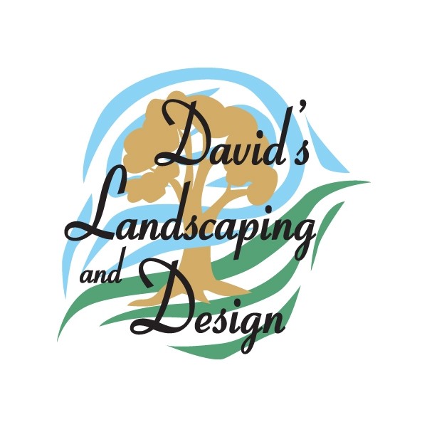 davids landscaping CelebrateErie